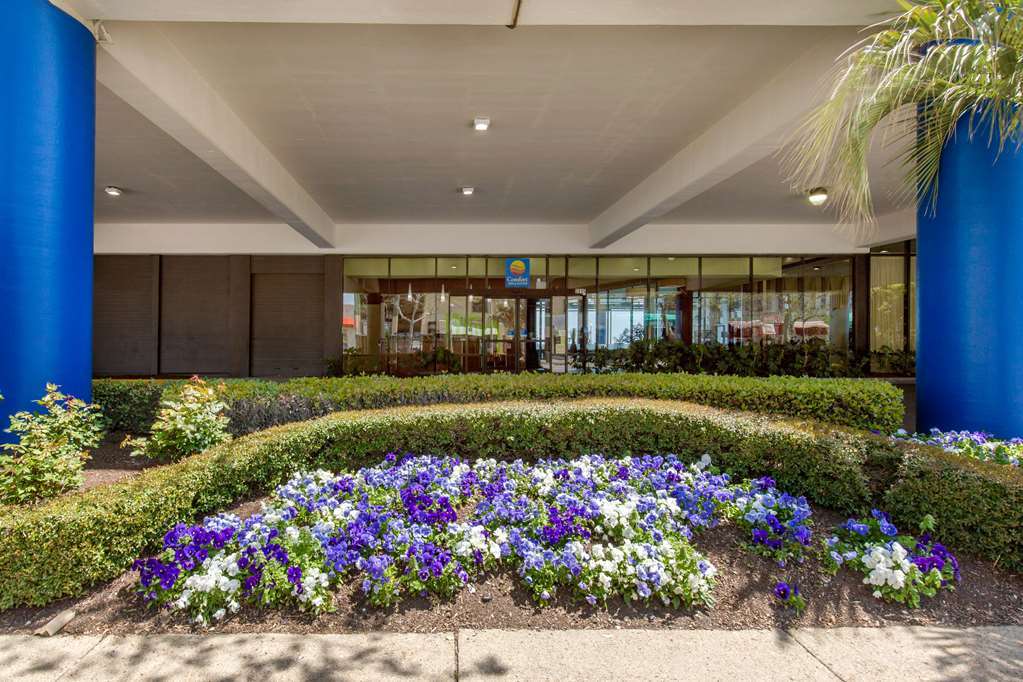 Coastal Hotel & Suites Virginia Beach - Oceanfront Ngoại thất bức ảnh